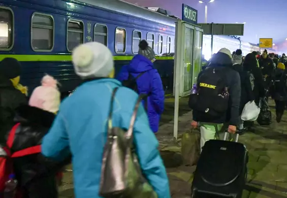 Ta platforma ułatwia pomoc uchodźcom z Ukrainy. To tylko kilka kroków