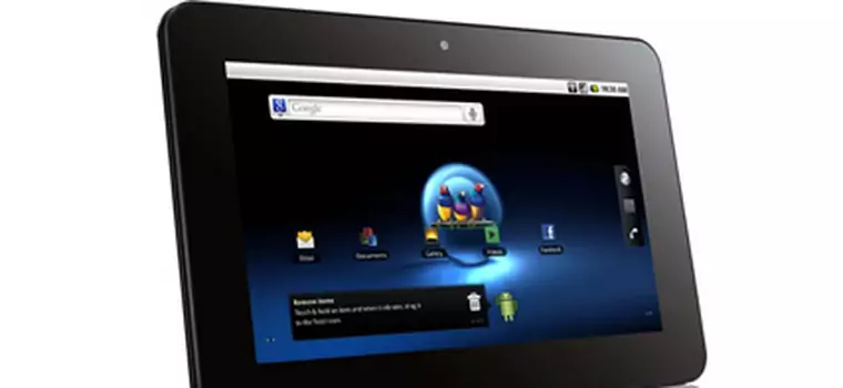 Tani i duży tablet od ViewSonic. Android dla mas?