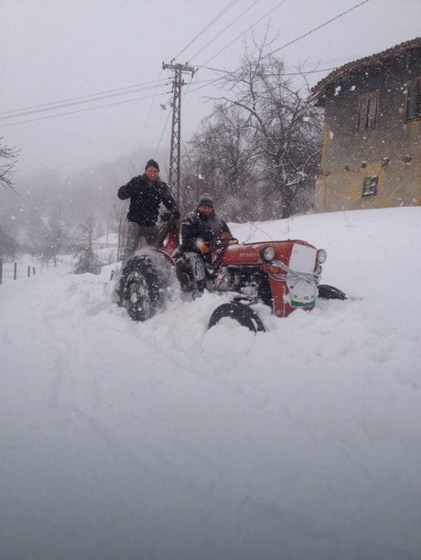 Meštani sela Popova se sami snalaze da rasčiste put