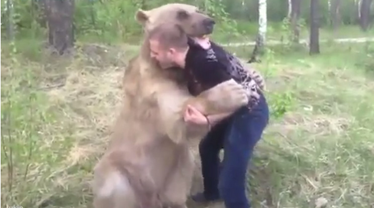 A férfi kicsit sem rémült meg a medvétől