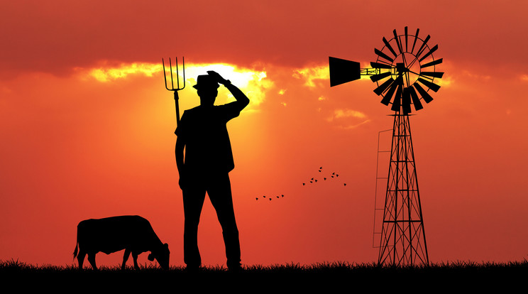 A farmer hatalmas sikereket ért el a meztelen fotóival /Illusztráció: Northfoto