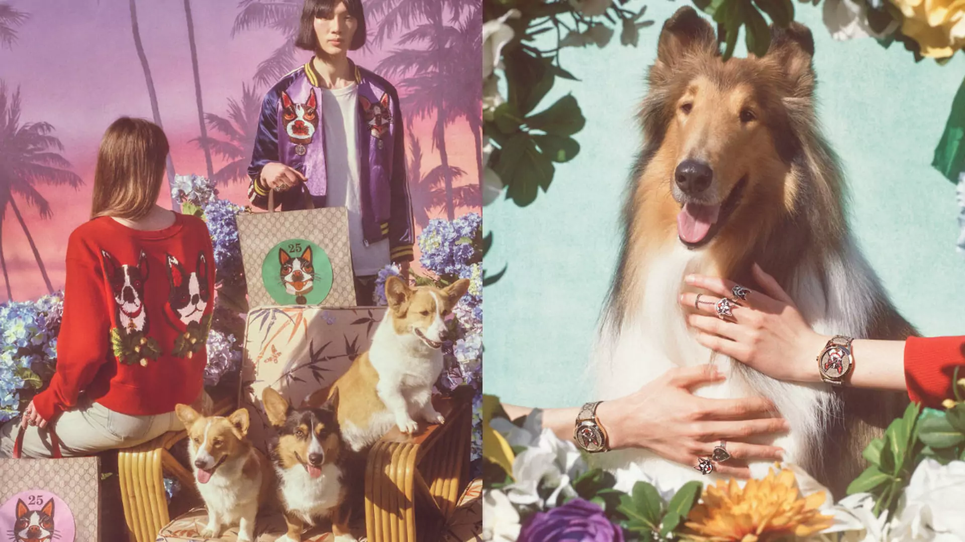 Z miłości do psów - Gucci stworzył kapsułową kolekcję z czworonogami w roli głównej
