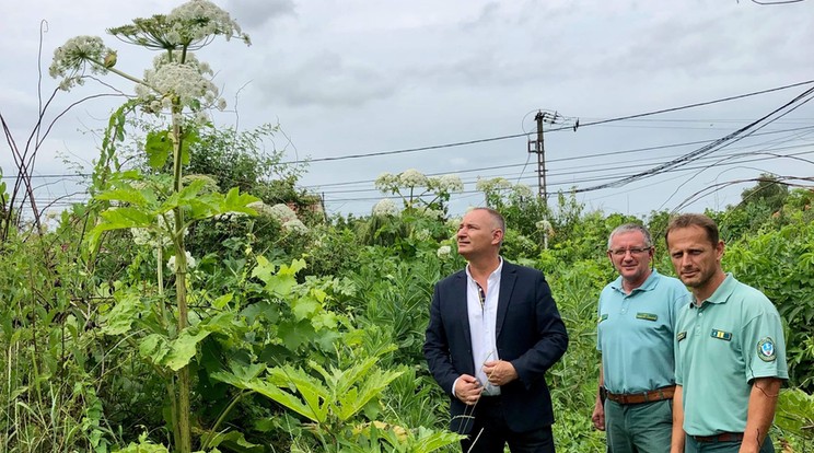 Balázs Zoltán polgármester( bal oldalon)  riasztotta a Bükki Nemzeti Park munkatársait