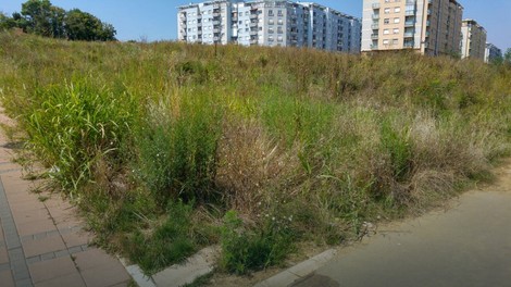 Ima je i u centru grada