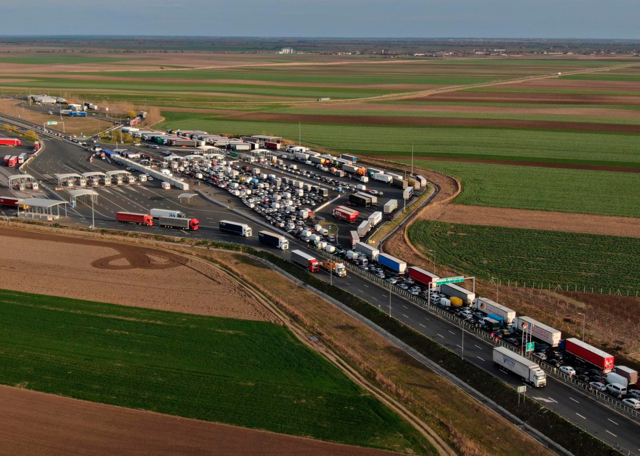 Srbija nesmetano izvozi voće u EU, samo u avgustu 692 pošiljke