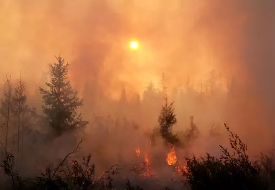 Google zablokuje reklamy w treściach negujących zmiany klimatu