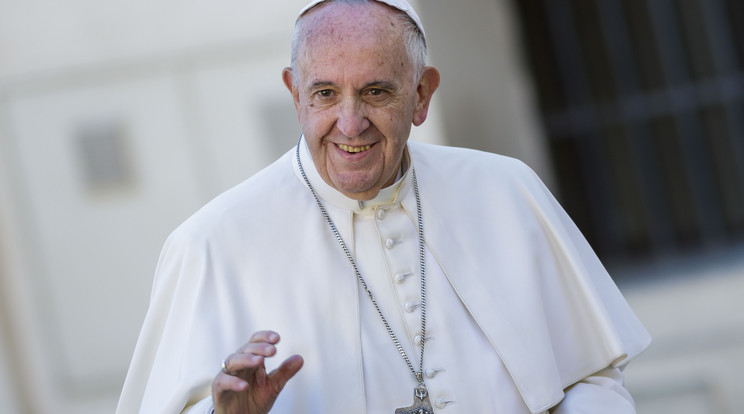 A Ferenc pápát ért támadások egyházszakadáshoz vezethetnek a váci megyéspüspök szerint /Fotó:AFP