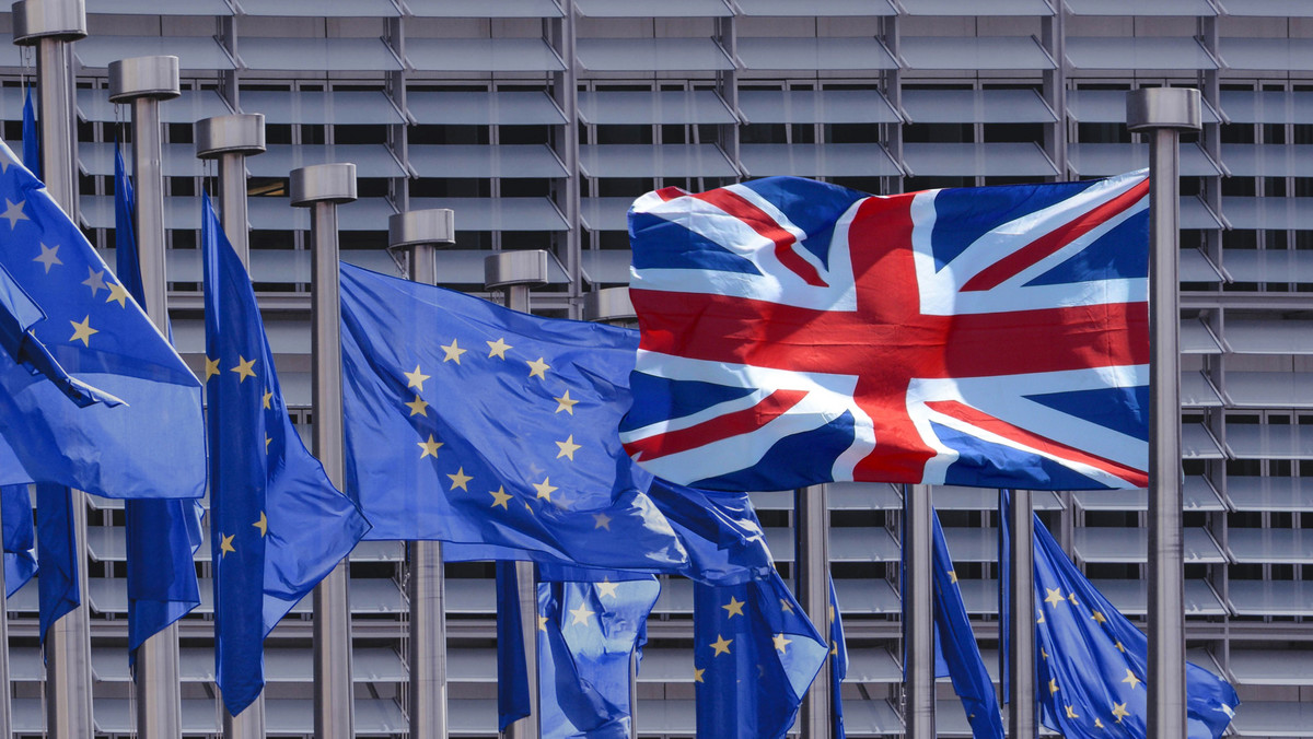 Komisja Europejska przedstawiła dwa nowe dokumenty dotyczące negocjacji w sprawie Brexitu. Dowiadujemy się z nich, że choć Wielka Brytania oficjalnie opuści Unię Europejską w marcu 2019 r., jeszcze przez lata będzie związana z finansowymi i prawnym systemem UE. Możemy to nazwać "powolnym Brexitem", pisze Ryan Heath z POLITICO.