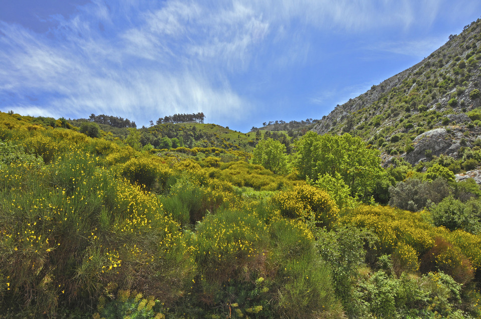 Samos, Grecja