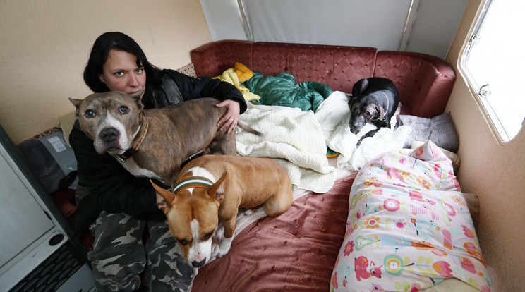 A nő pár kutyát magához vett 
abba a lakókocsiba, amit kölcsönkapott, és ami most az 
otthont jelenti számukra / Fotó: Fuszek Gábor