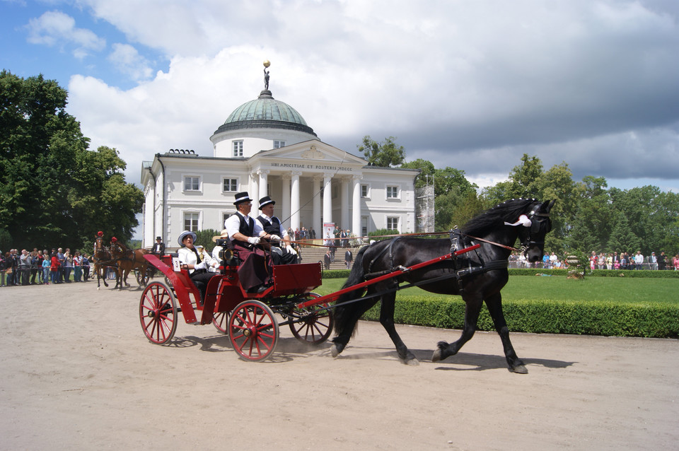 Pałac Lubostroń