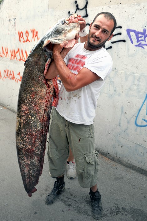 Som je bio težak 33,5 kilograma i dug 1,8 metara