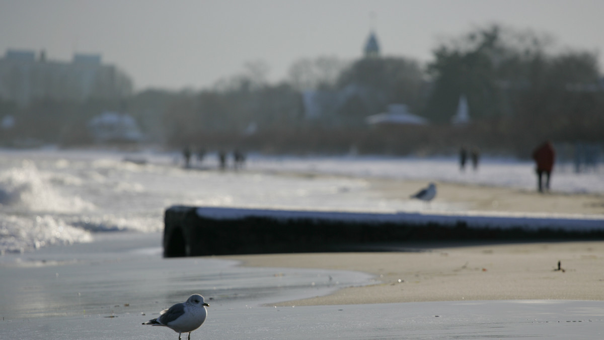 Bezpieczeństwo - to główny powód, dla którego sopoccy radni przegłosowali uchwałę wprowadzającą zakaz spożywania alkoholu na plaży. To nie koniec zmian. Zmniejszy się także liczba lokali, które otrzymają koncesję na sprzedaż wysokoprocentowych trunków.