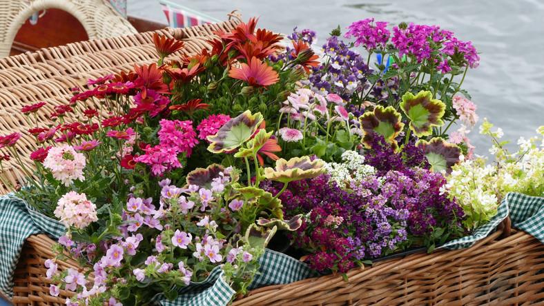 Támad a hőség: Ezt csináld és megmentheted a virágaidat a kiszáradástól