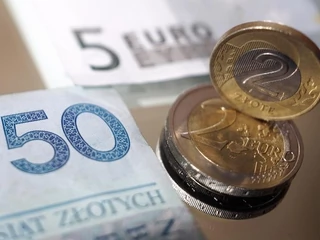 pieniądze złoty euro
