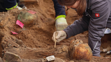 Odkryto prawdopodobnie największy masowy grób w Europie. Tysiąc szkieletów