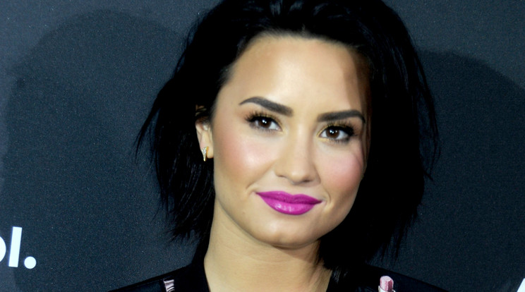 Demi Lovato élete romokban /Fotó: Northfoto