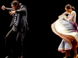 Flamenco 1