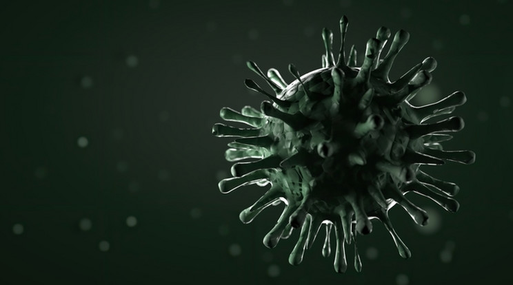 Az Egészségügyi Világszervezet szerint a vírus esetleges világjárvánnyá is válhat / Fotó: Northfoto