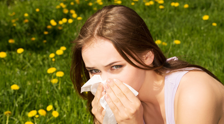 A pollenszórás helyenként már okozhat allergiás tüneteket /Illusztráció: Northfoto