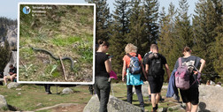 Tatrzański Park Narodowy pokazał jadowitego węża. Apel do turystów