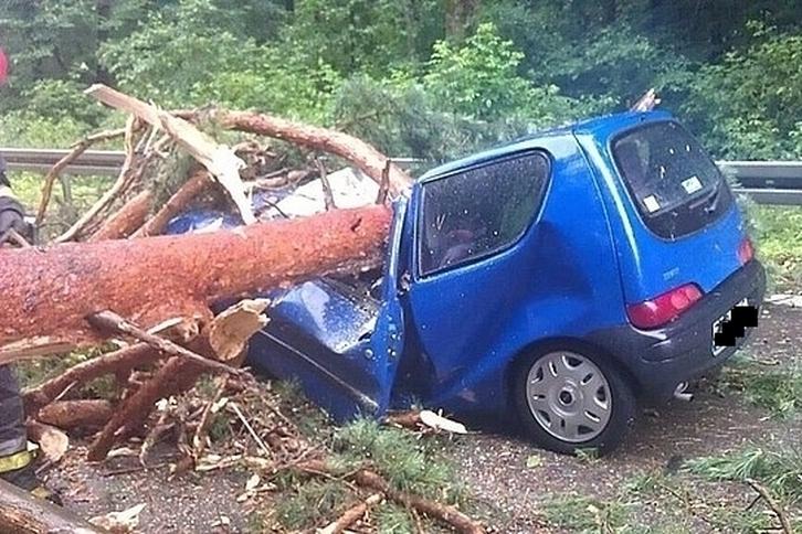 Drzewo zmiażdżyło młodą kobietę kierującą samochodem