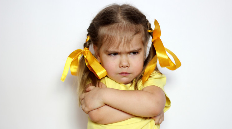 Gondoljunk arra, hogy az akaratos gyermekekből lesznek a legsikeresebb felnőttek /Fotó: Shutterstock