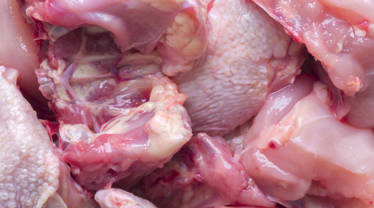Fél tonna jelöletlen húst találtak a piacon/Fotó: Northfoto