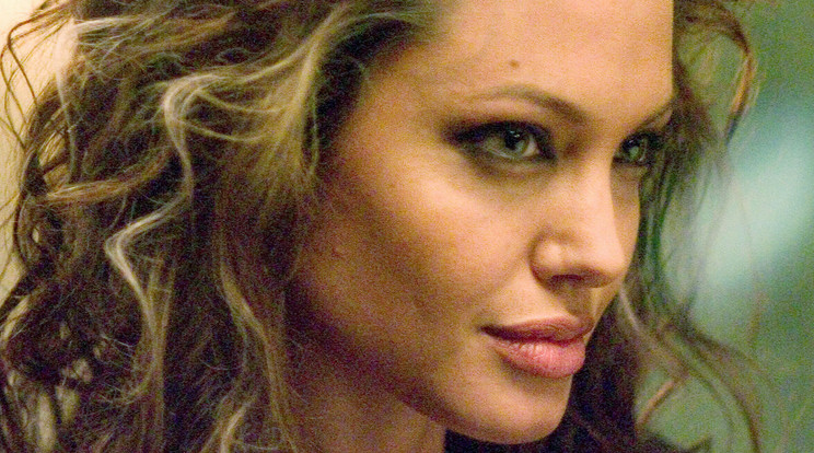 Jolie ki nem állhatja férje régi kollégáját, Ed Nortont / Fotó:RAS archívum