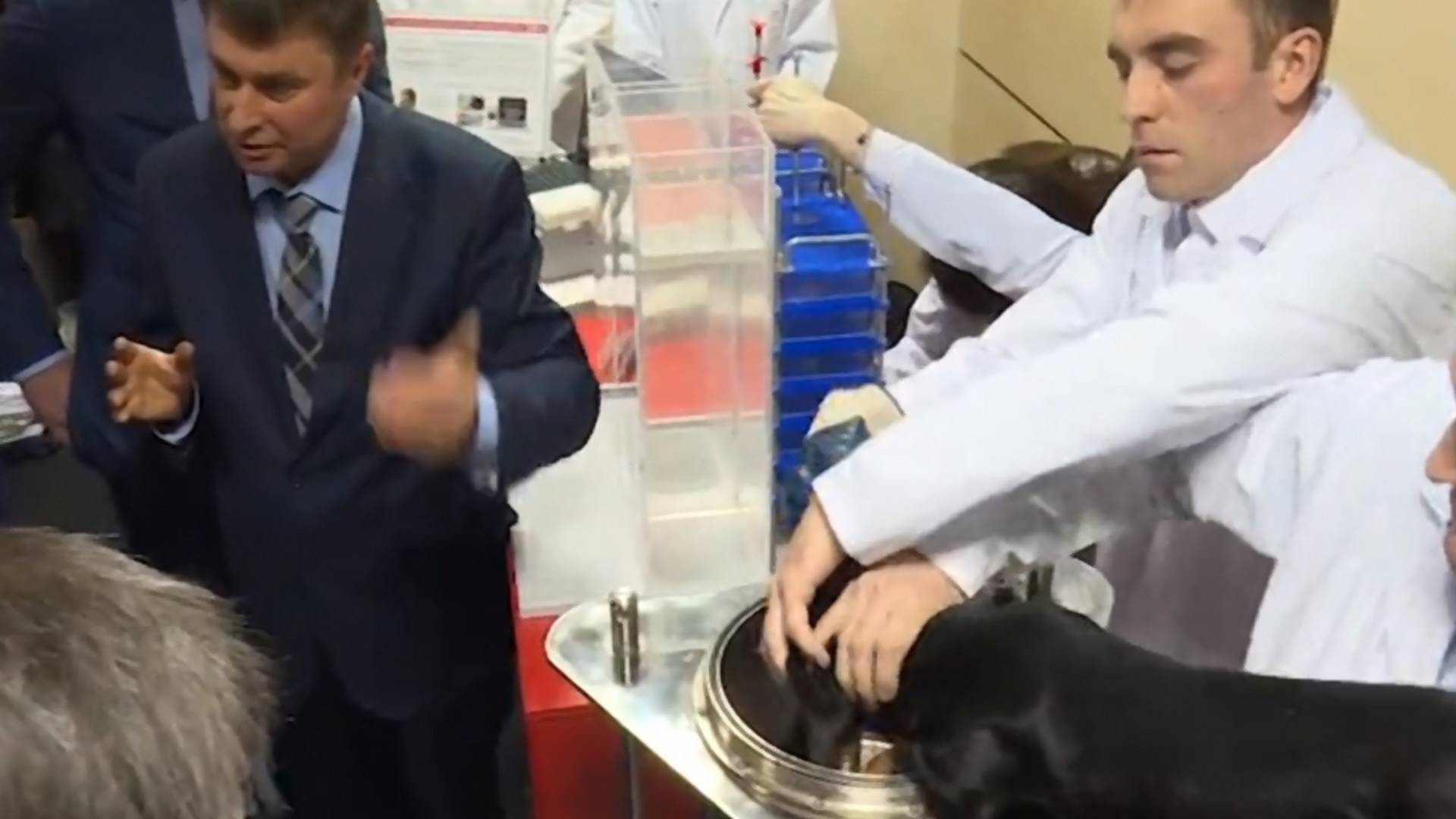 Naučnici koji muče psa su impresionirali Vučića. Nas su doveli do suza