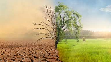 Roślinne kiełbaski w lodówce i klimatyzacja w każdym domu. Za 16 lat świat będzie całkowicie nie do poznania