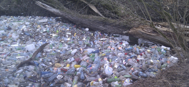 Góry śmieci zalegają w rzece. Kto to posprząta?