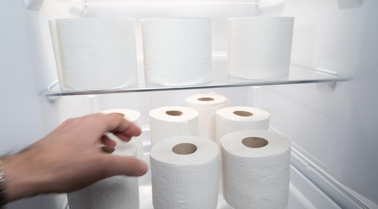 Nem hiszed el, miért raknak sokan WC-papírt a hűtőbe! Fotó: Getty Images