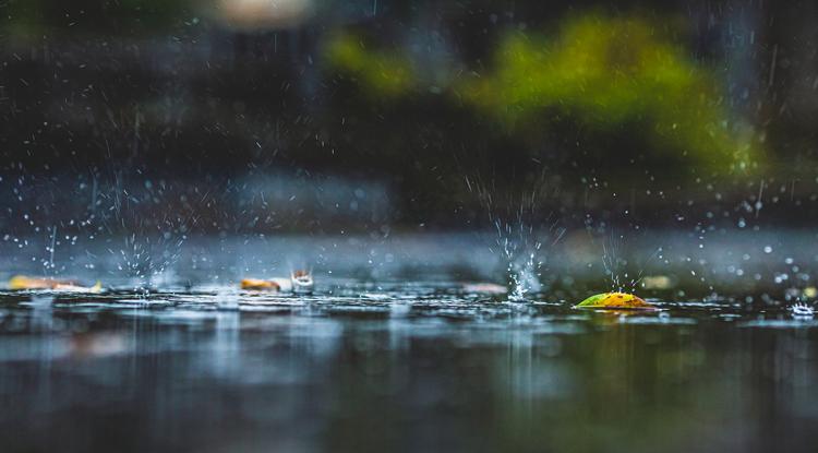 Mindenhol eső, zápor Fotó: Getty Images