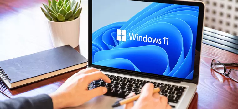 Windows 11 coraz popularniejszy wśród graczy. Potwierdza to nowa ankieta Steam