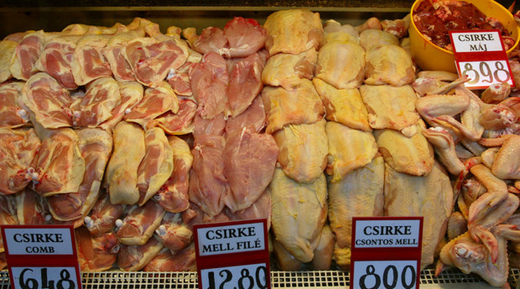 Szennyezett baromfihús is a piacra kerülhetett/Fotó: RAS-archívum