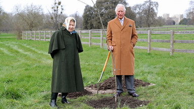 Elżbieta II świętuje 70 lat na brytyjskim tronie i... sadzi drzewa. Ekologiczna akcja królowej