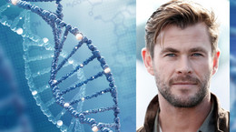 Chris Hemsworth zawiesił karierę po otrzymaniu wyniku badania. Czym jest gen APOE4? [WYJAŚNIAMY]