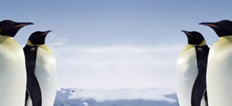 Google Street View i Antarktyda. Jeszcze tam ich nie było