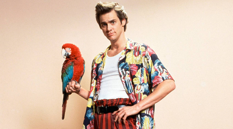 Jim Carrey, mint Ace Ventura, az állati nyomozó, 1994-ből / Fotó: Northfoto