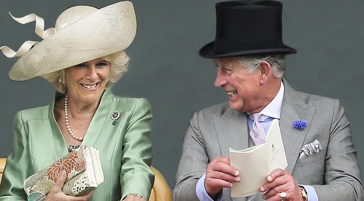 Károly király otthonában nyárra nagy változások lesznek Fotó: Getty Images