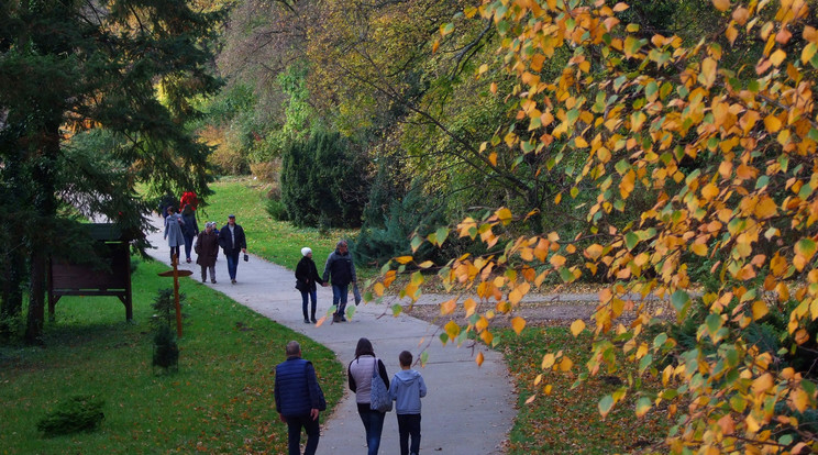 Szarvasi Arborétum
 /Fotó: MTI - Jászai Csaba