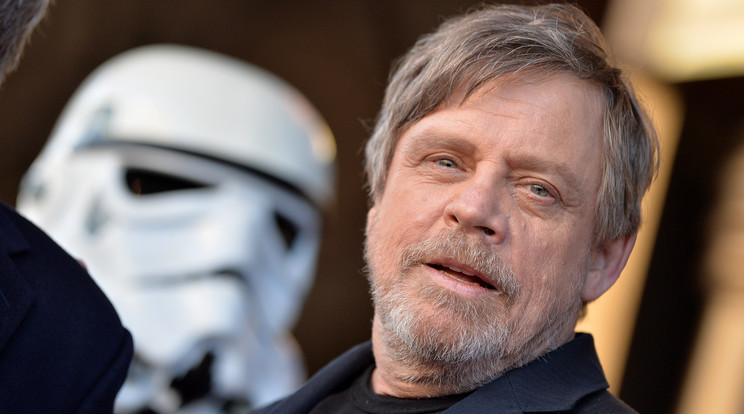 Mark Hamill / Fotó: Northfoto