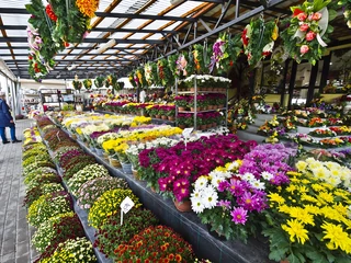 W Polsce funkcjonuje ok. 5 tys. gospodarstw produkujących kwiaty oraz 6,5 tys. kwiaciarni. Kwiaty sprzedawane są bezpośrednio u producentów, na targowiskach, a nawet w dyskontach