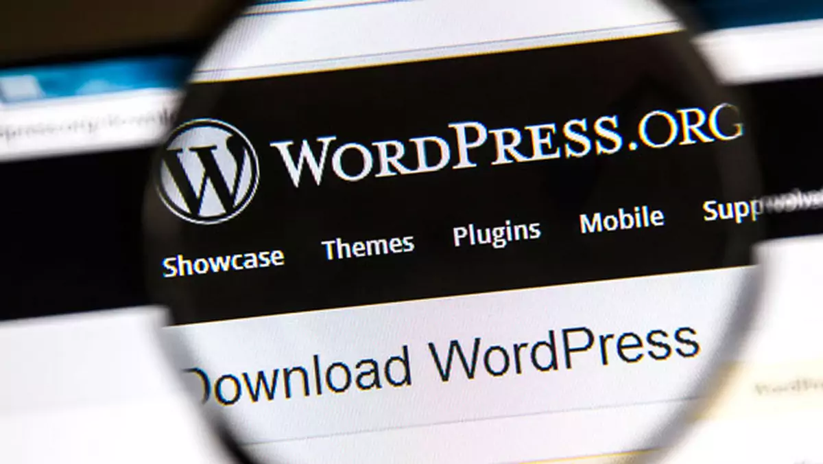 WordPress: Pierwsze kroki
