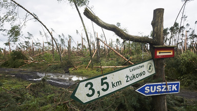 Szef ZHR ogłasza żałobę i pyta, czy można było zapobiec wydarzeniom w Suszku