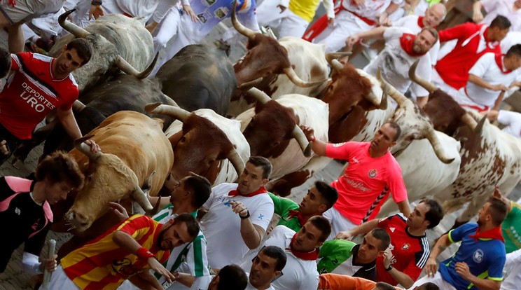 A San Fermín fesztivál első bikafuttatása Pamplonában /Fotó: MTI