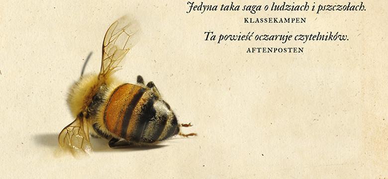"Historia pszczół": bestsellerowa powieść Mai Lunde