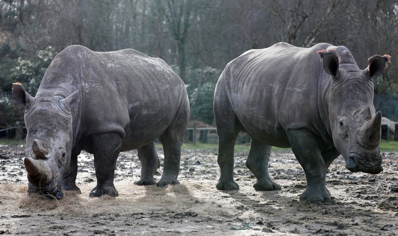 FjTktkqTURBXy8xZDE4NTQyNmFhMzQ0YzRiZWFhYzMxZjE3MjI0YThkYi5qcGVnkZMCzQMmAA