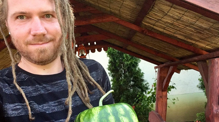Róbert jó ideje kísérletezik a különös alakú nyári gyümölccsel – kitartása meghozta az eredményét